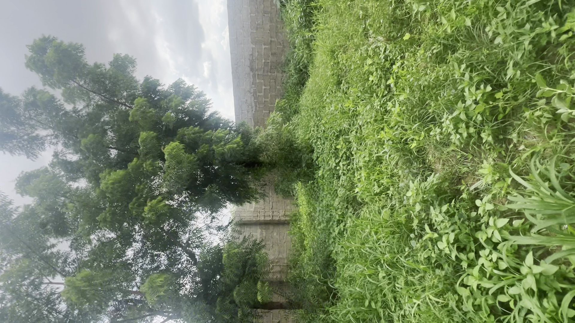 View 3