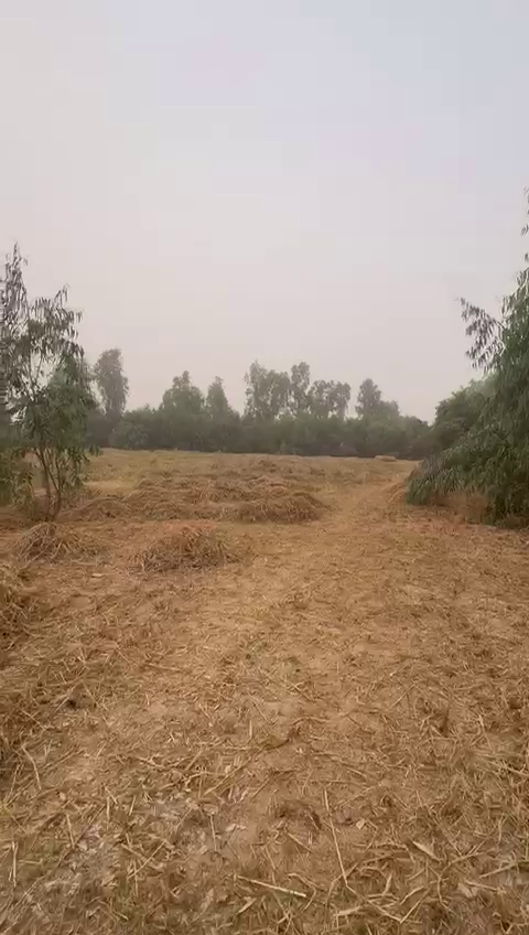 335 x 538 farmland for sale in Ajiwa Tsagero Road, Masabo Katsina State