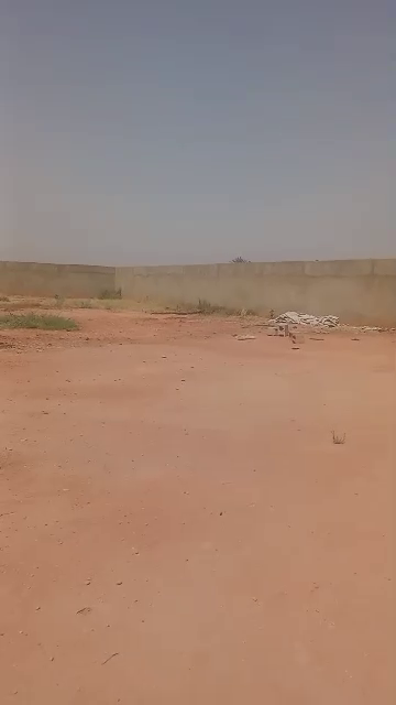 50 X 100 plot for sale along jibia road, opposite Waec office, Katsina