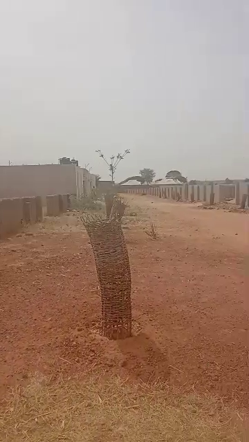 200 x 200 plot for sale behind aunty ramatu G.R.A Katsina State price: 75m