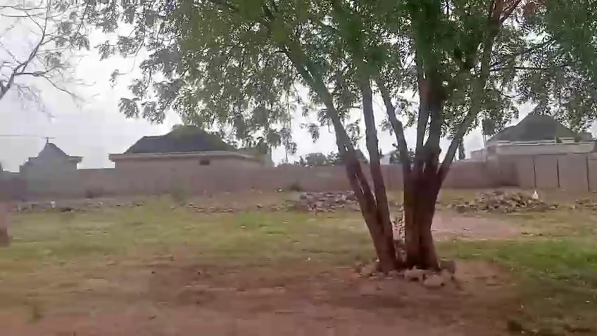 View 2